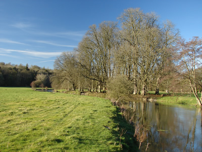 River Avon Abbey